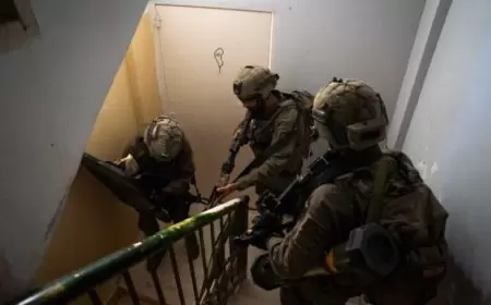 الاحتلال يعتقل 8 مواطنين من الخليل بينهم 4 فتية