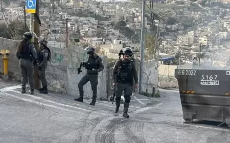 سلوان- عملية هدم في حي البستان جنوب الأقصى