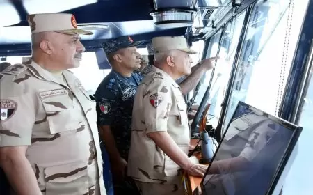 بقيادة "جمال عبد الناصر".. ما هي رسائل المناورة العسكرية المصرية "ردع"؟