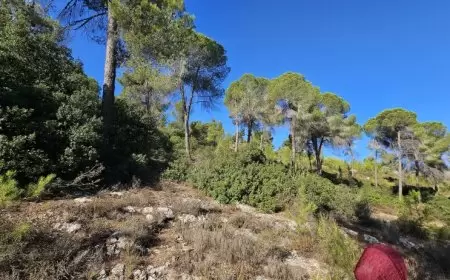 الطقس: انخفاض طفيف على درجات الحرارة