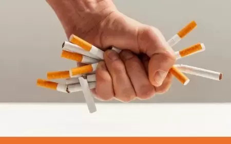 السويد والنرويج.. تجربة عالمية تقود التحول إلى بدائل التدخين منخفضة المخاطر