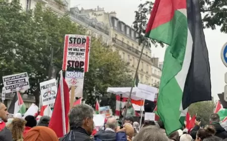 أنصار فلسطين في باريس يطالبون بوقف تسليح إسرائيل