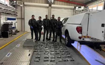 إسرائيل: إحباط أكبر عملية تهريب سلاح من الأردن لإسرائيل