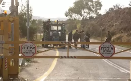 الاحتلال يمنع المواطنين دون سن 40 عاما من قطف ثمار الزيتون جنوب نابلس