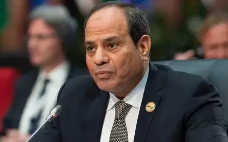 السيسي: سنقف ضد كل مخططات تصفية القضية الفلسطينية