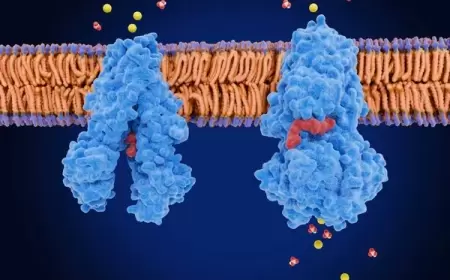 طفرات جينية تضع البروتينات في مواقع خاطئة