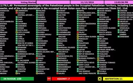 الأمم المتحدة تعتمد مشروع القرار المعنون "السيادة الدائمة للشعب الفلسطيني في الارض الفلسطينية