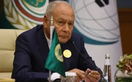 أبو الغيط يحذر من مغبة القانون الإسرائيلي بحظر"الأونروا"