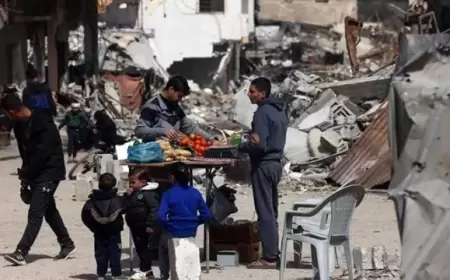 "الغذاء العالمي": أسواق قطاع غزة بحالة مزرية والأسعار وصلت مستويات قياسية