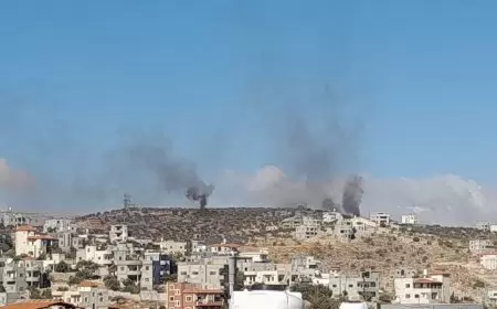 مستوطنون يهاجمون المنازل ويحرقون المركبات شرق نابلس