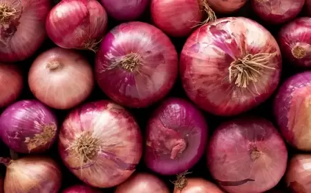 أفضل طريقة لحفظ البصل طازجاً لـ3 أشهر بدون تعفن أو إنبات