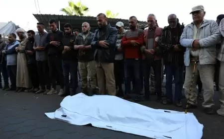 ارتفاع حصيلة الشهداء في قطاع غزة إلى 43,846