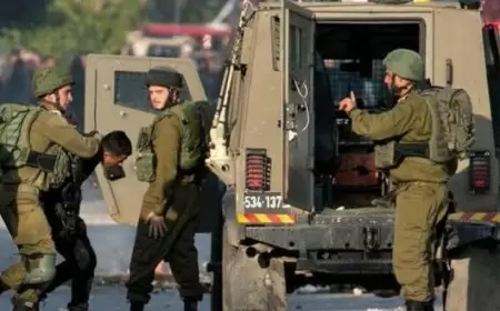 الاحتلال يعتقل مواطناً بعد اعتداء مستعمرين عليه غرب أريحا