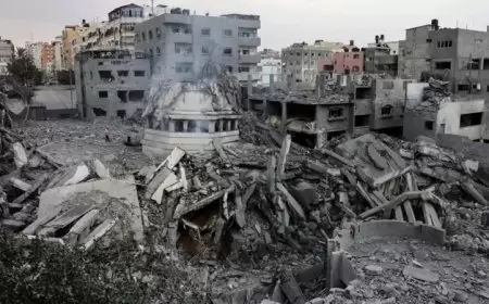 ورقة تقدير موقف تناقش أثر الفتوى الدينيه على العمل الوطني الفلسطيني