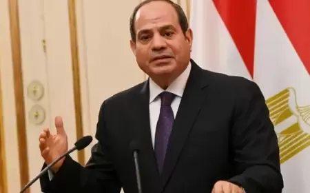 السيسي: السلام العادل والمستدام هو خيار استراتيجي لمصر