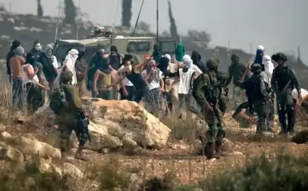 مستعمرون يهاجمون منازل في بلدة بيت فوريك شرق نابلس