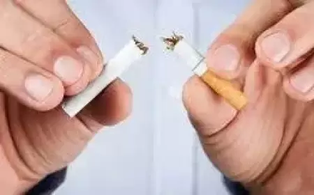 المحلل السياسي يواكيم أولسين ينتقد التشريعات الجديدة في الدنمارك: تعرقل الإقلاع عن التدخين