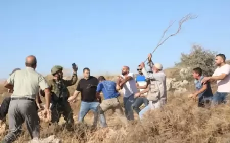 الاحتلال يستولي على 52 ألف دونم بالضفة منذ بدء حرب غزة