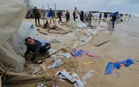 الدفاع المدني: 10 آلاف خيمة تضررت بسبب الأمطار بالقطاع