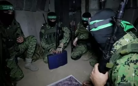 القناة 7 الإسرائيلية: حماس ستبقى وحدها في المعركة