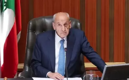 بري يدعو لجلسة لانتخاب رئيس للجمهورية في يناير