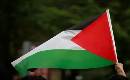 تونس تجدد مساندتها لحصول فلسطين على العضوية الكاملة بالأمم المتحدة