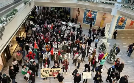 في يوم التضامن مع شعبنا: تظاهرات حاشدة في عدة مدن أميركية