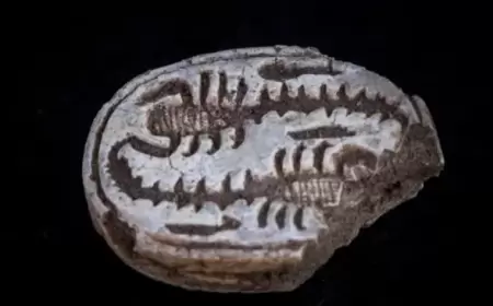 إسرائيل تعلن عن العثور على تميمة مصرية من الحجر عمرها 3500 عام