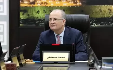 مصطفى: يجب تنفيذ قرارات الأمم المتحدة بوقف العدوان وتأمين المساعدات