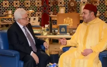 السفير المغربي لدى فلسطين يؤكد سعي بلاده المتواصل إلى وقف العدوان في قطاع غزة