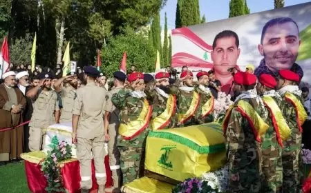 الاحصاءات الاولية لشهداء حزب الله