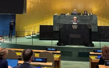 منصور يدعو لانهاء الإبادة الجماعية والاحتلال الاستعماري غير القانوني بفلسطين