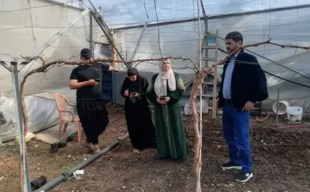 جولة ميدانية إرشادية للاشراف على بساتين العنب اللابذري المحمية في  بلدة الجاروشية