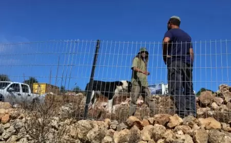 مستعمرون يسيجون أراضي قرب مساكن المواطنين في الأغوار