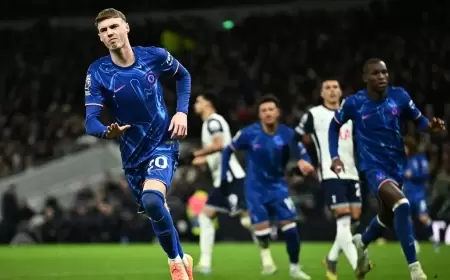 بالمر: جماهير تشيلسي كانت تعاني قبل قدومي