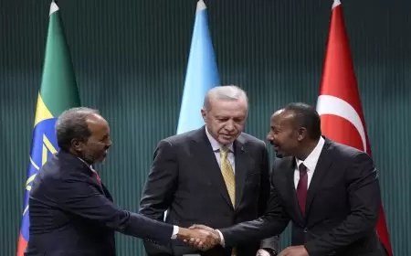 أردوغان يعلن عن اتفاق تاريخي للمصالحة بين الصومال وإثيوبيا