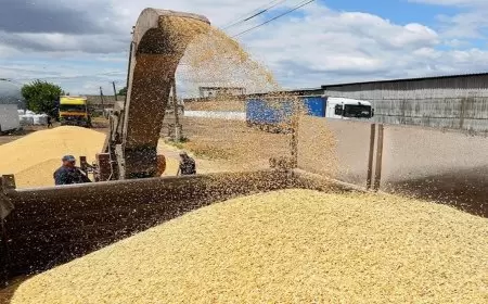 أوكرانيا بصدد إنشاء آليات لتوريد الغذاء إلى سوريا