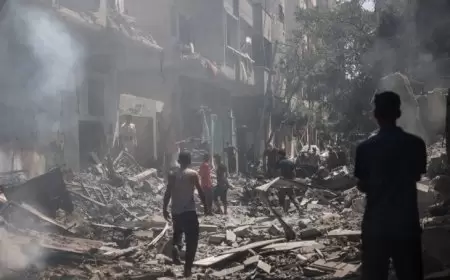 437 يوما للحرب على فلسطين