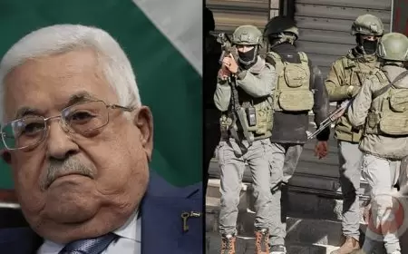 ورقة تقدير موقف: تصاعد الحوادث الأمنية في الضفة الغربية وأهمية تعزيز دور السلطة الفلسطينية