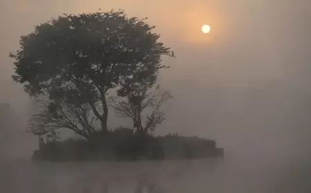 دراسة: أوروبا تشهد عددًا أقلّ من الأيّام شديدة البرد في فصل الشتاء