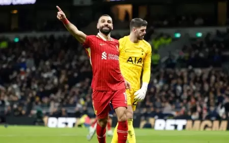 نجم ليفربول: صلاح يلعب "لوحده".. والحل بـ"بوليصة تأمين"