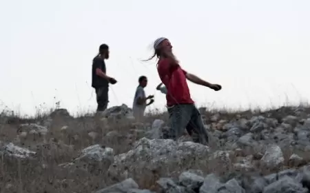 مستوطنون يهاجمون قرية برقا شرق رام الله