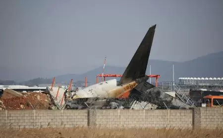 مصرع 120 شخصا جراء تحطم طائرة في مطار بكوريا الجنوبية