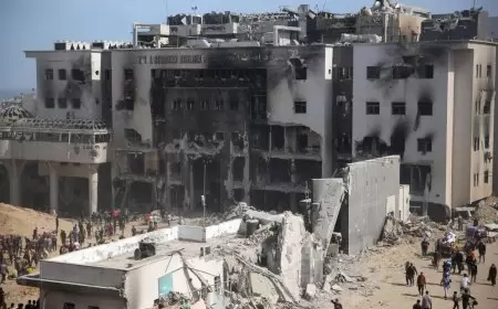 الصحة العالمية: النظام الصحي في قطاع غزة تحت تهديد شديد