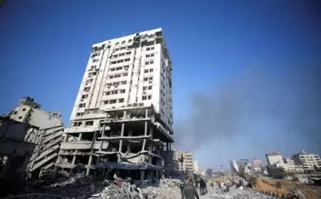 تقرير بنك فلسطين خلال 2024: حلول مصرفية رقمية لدعم أهالي غزة في مواجهة المأساة