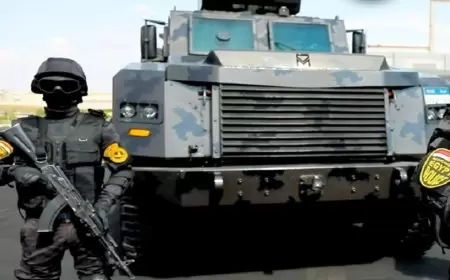 مصر.. متهم بالترويج لأخبار خطف الصغار للإتجار بأعضائهم يعترف والسلطات تكشف ما يكمن وراء فعلته