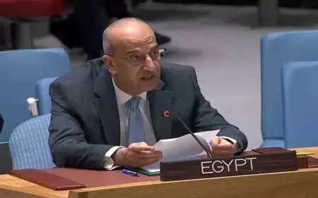 مندوب مصر: إسرائيل تكشف مجددا عن وجه جديد قبيح