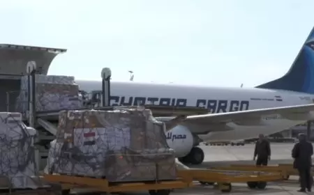 وصول أول طائرة مساعدات مصرية إلى دمشق