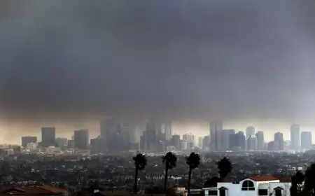 5 قتلى واخلاء الآلاف في الحرائق- بايدن يعلن حالة "كارثة كبرى" في كاليفورنيا