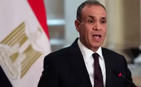 وزير الخارجية المصري: لن ندخر جهداً للتوصل إلى وقف النار في غزة